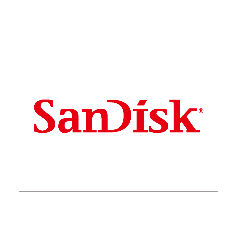 SanDisk SanDisk