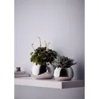 Bella Vase L