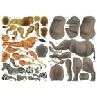 8508 - 3D craft set "African animals"