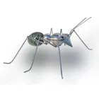 Ant stainless steel size 2